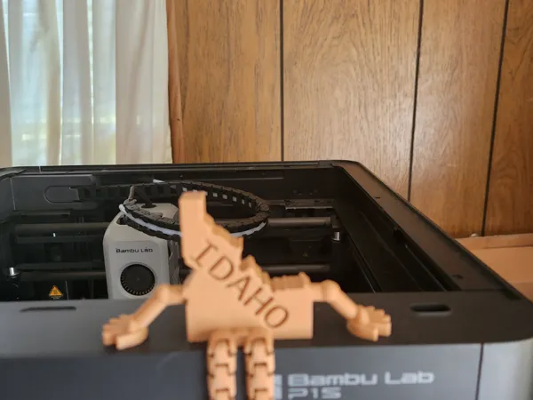 https://makerworld.bblmw.com/makerworld/model/US48a0a053529dd2/design/2025-05-24_bd84f90e964bf.jpg