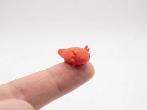 https://makerworld.bblmw.com/makerworld/model/US48a0ac7f1f73e0/design/392cfdfa4479dd97.png