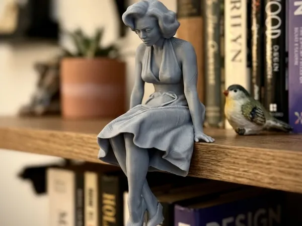 https://makerworld.bblmw.com/makerworld/model/US48a292f5a03ca5/design/5d490d7d534177b7.jpg