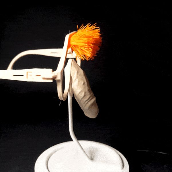 LUNETTES PENIS / HUMOUR D'ADULTE