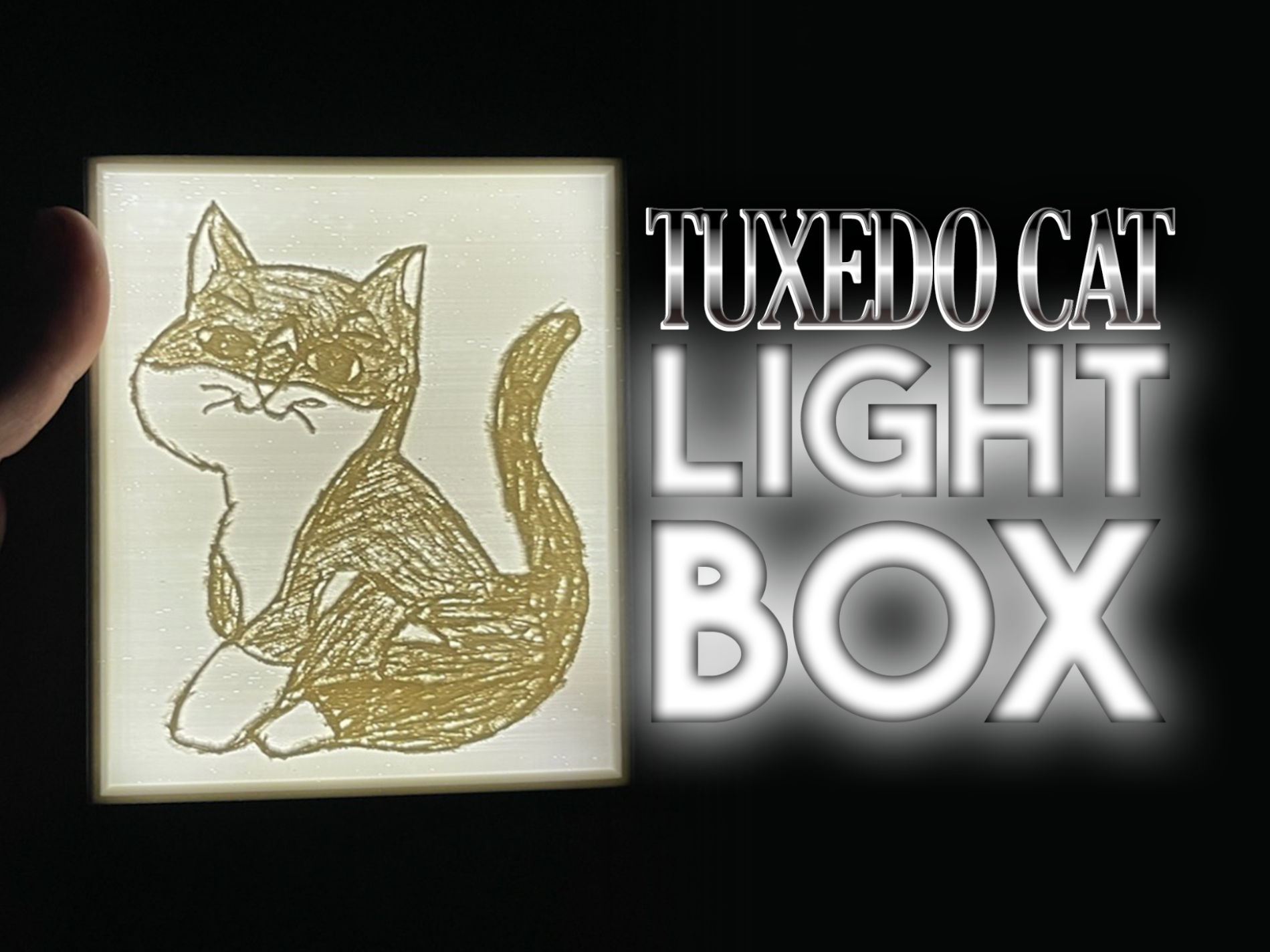 Tuxedo Cat Lithophane Light Box