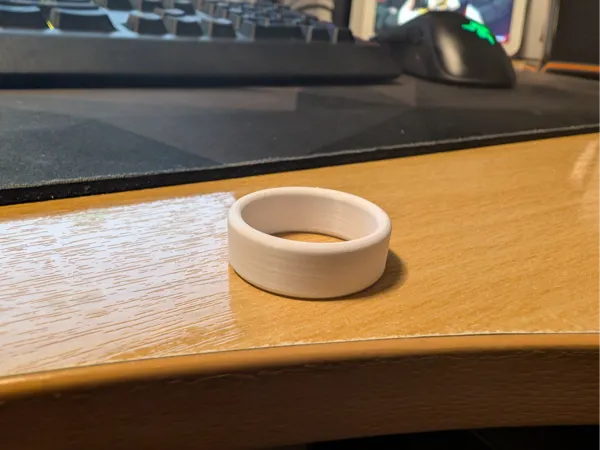 https://makerworld.bblmw.com/makerworld/model/US48a6680f3bb3cb/design/2024-12-20_519aa7f273396.jpg