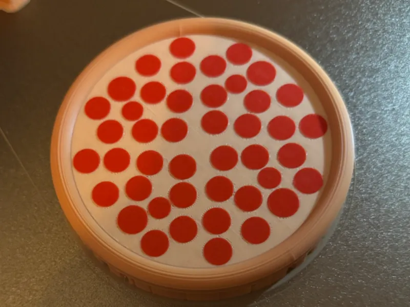 Pizza Fidget spinner