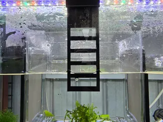 Ziss Hatchery Extension 