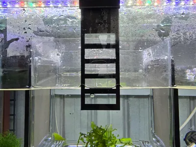 Ziss Hatchery Extension 