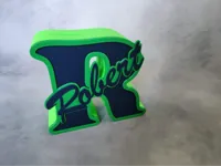 Piggy bank R - Robert