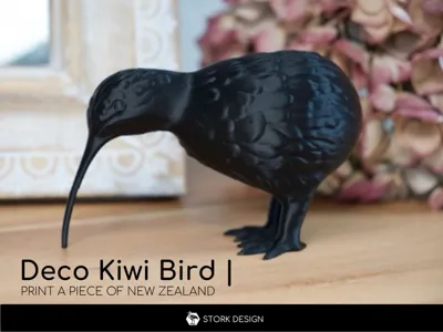 Decorative Kiwi Bird 