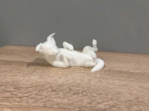 Lying Border Collie - Animal - Dog - Decor view 2