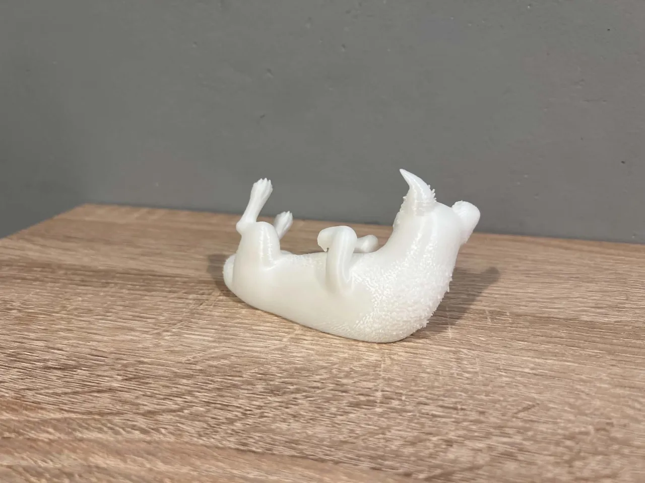 Lying Border Collie - Animal - Dog - Decor view 3