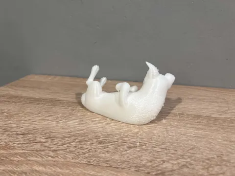 Lying Border Collie - Animal - Dog - Decor view 3