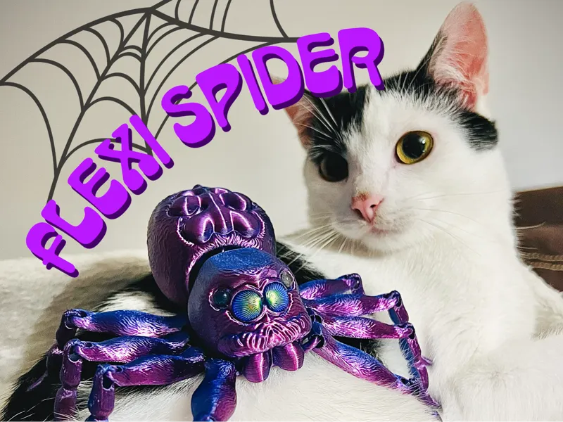 Flexi Spider - with spaces to attach eyes