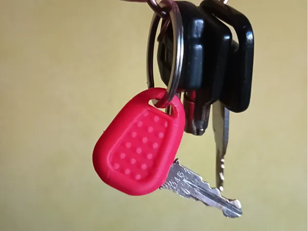 https://makerworld.bblmw.com/makerworld/model/US48bae2cb89307d/design/f406d4143373ee8f.jpg