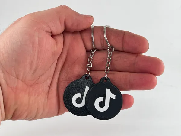 https://makerworld.bblmw.com/makerworld/model/US48bfe26591a5e1/design/2025-03-31_bb687f4d2bf64.jpg