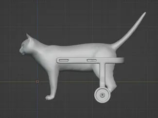 Cat Wheelchair
