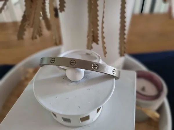 https://makerworld.bblmw.com/makerworld/model/US48c0e48bfd0ab0/design/2024-05-08_4909654c8d4f9.jpg