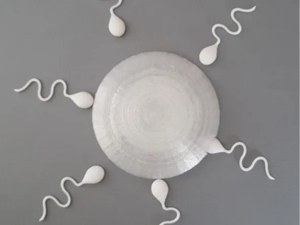 https://makerworld.bblmw.com/makerworld/model/US48c54ce951e59d/design/2024-07-31_dc954c3420eee.png