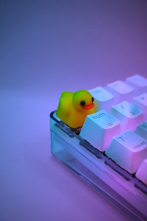 https://makerworld.bblmw.com/makerworld/model/US48c6226305fd8c/design/2023-12-29_1cec2db29190a.jpeg