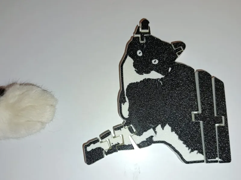 cat fidget