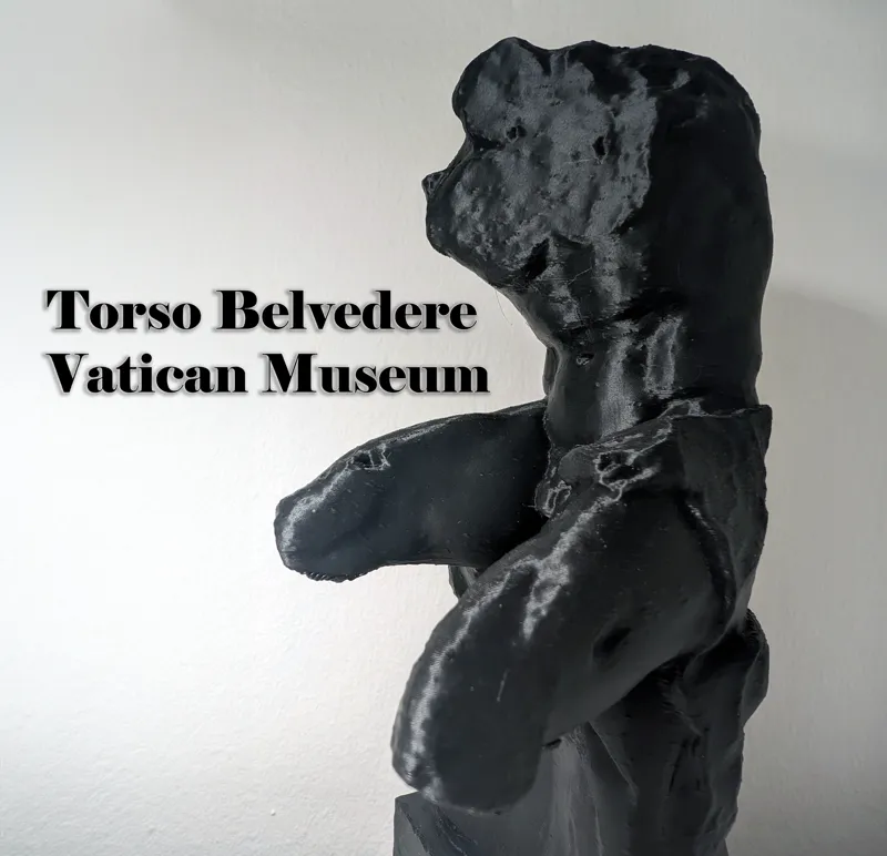 Torso Belvedere, Vatican Museum