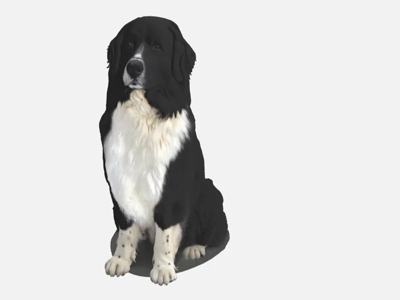 Newfoundlander/ Bernese mountain Dog Sculpture