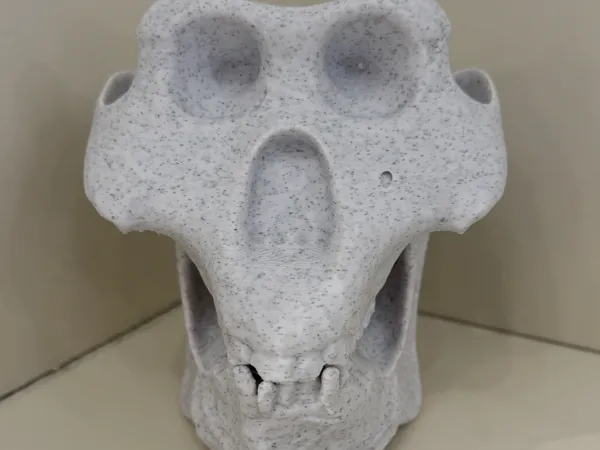 https://makerworld.bblmw.com/makerworld/model/US48d07fe3f3754c/design/1814fd5bb5e443d2.jpeg