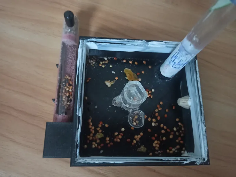 蚁巢（ant nest ）