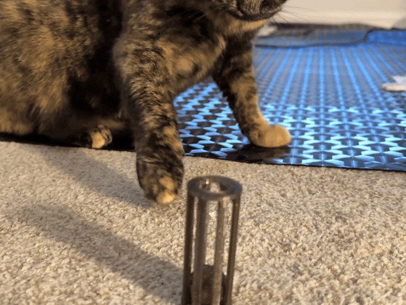 Cats Favorite Toy