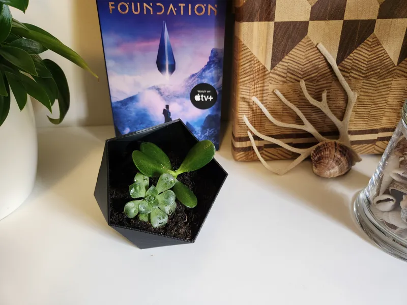 Icosahedron Bookend or Plant Pot
