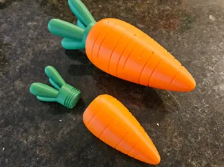 Carrot Container