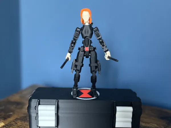 https://makerworld.bblmw.com/makerworld/model/US48df8853345a3b/design/2024-11-25_7ede2e1b3fea5.png