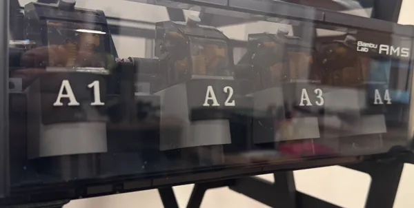 https://makerworld.bblmw.com/makerworld/model/US48e323cc886bed/design/2024-11-19_9ccb0e3b0629c.jpg