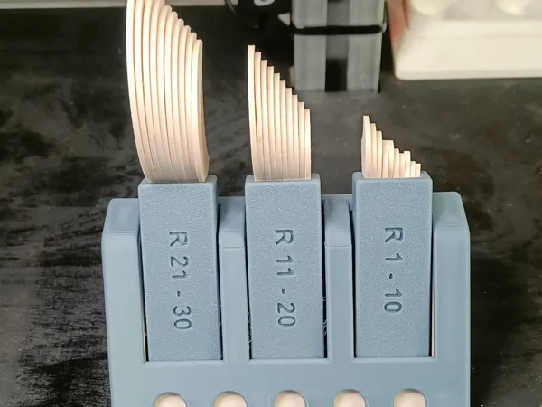 https://makerworld.bblmw.com/makerworld/model/US48e6fec81b170f/design/2025-11-13_1011d61b7f811.jpg