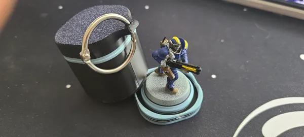 https://makerworld.bblmw.com/makerworld/model/US48e9c5bbf45025/design/2024-02-06_7179a3c1b001a.jpg