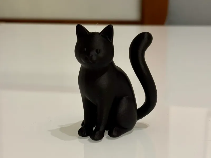 Black cat
