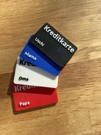 Alle Teile, inkl. bearbeitbarer Kreditkarte in BambuStudio