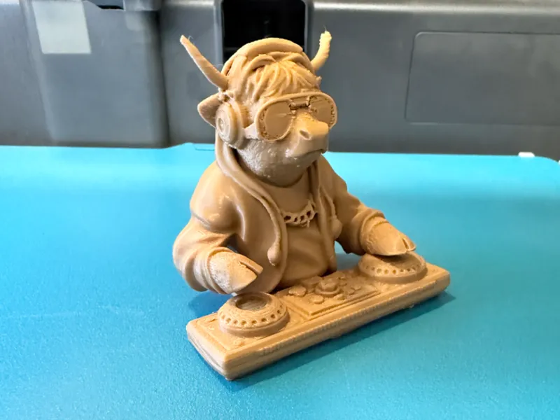 Highland Cow DJ