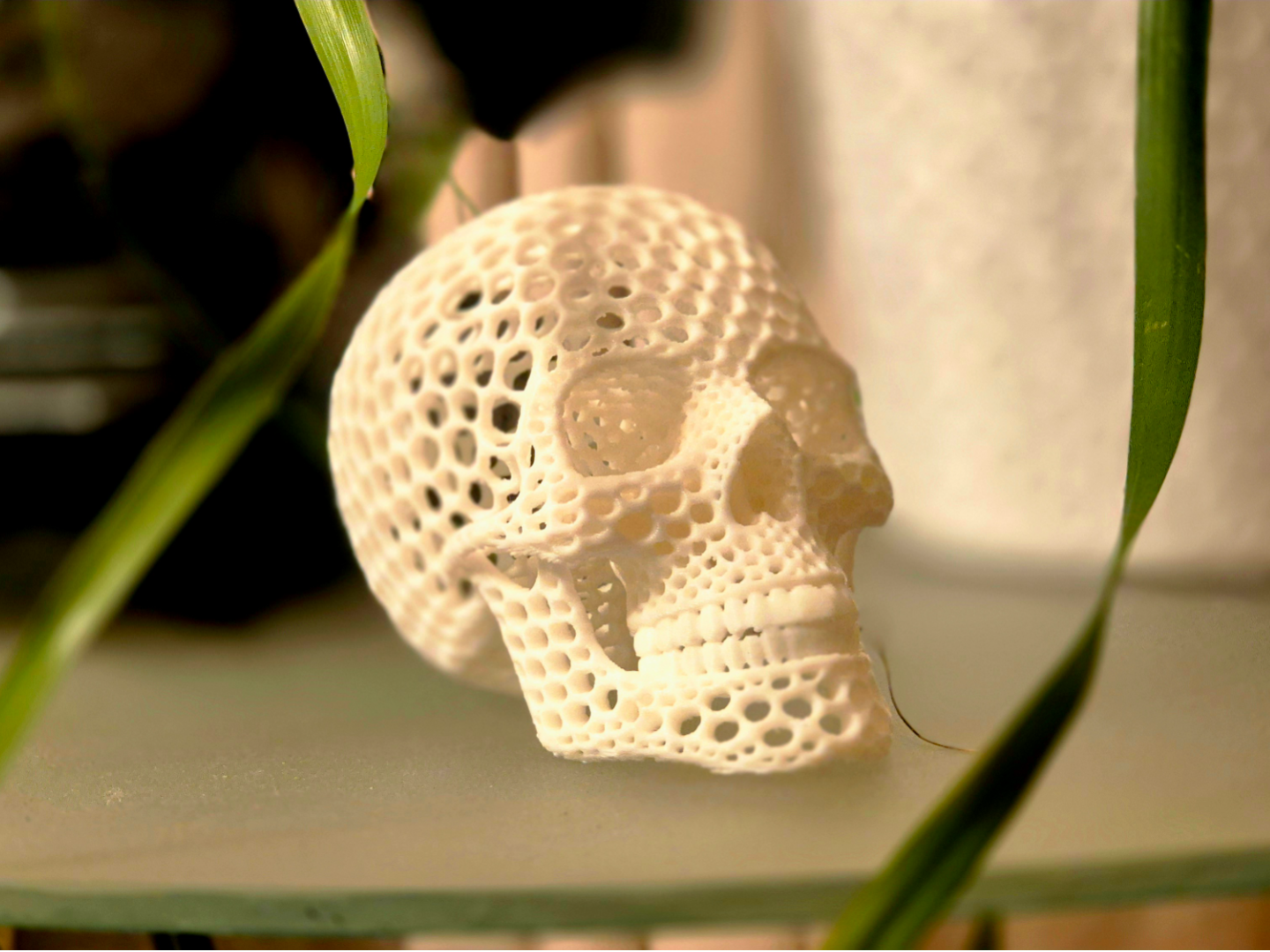 Organic Lattice Skull – Porous 3D Decorative Model