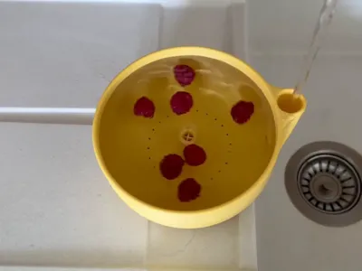 Fruit and Berry Washer