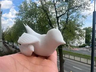 Bird mom with her child