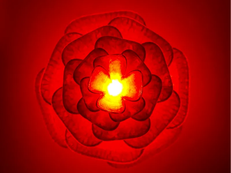 Rose Lamp