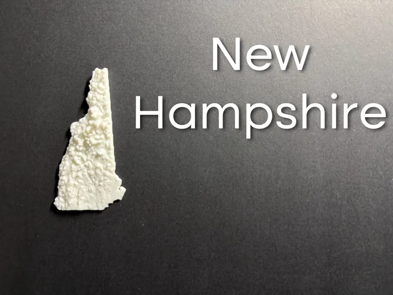 State of New Hampshire terrain