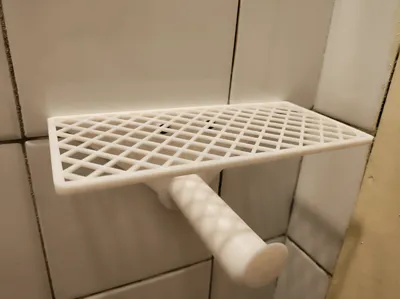 Toilet paper holder with shelf