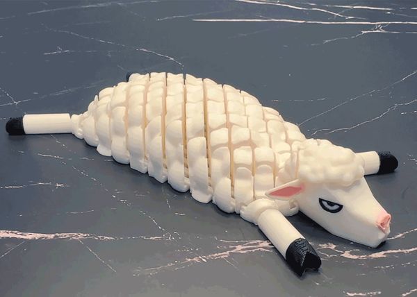 https://makerworld.bblmw.com/makerworld/model/US4902d1db5b9e44/design/290f6278b49de4a3.gif