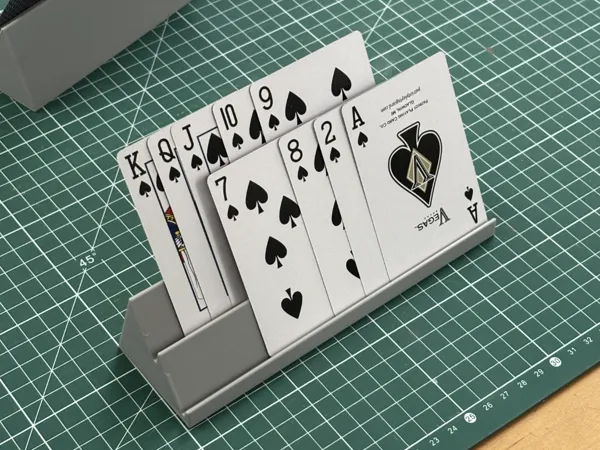 https://makerworld.bblmw.com/makerworld/model/US4904c26d12abae/design/992c44cf72f53262.jpg