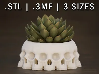 𝙈𝙤𝙧𝙩𝙞𝙨 𝙑𝙪𝙡𝙩𝙪𝙨  - The Face of Death