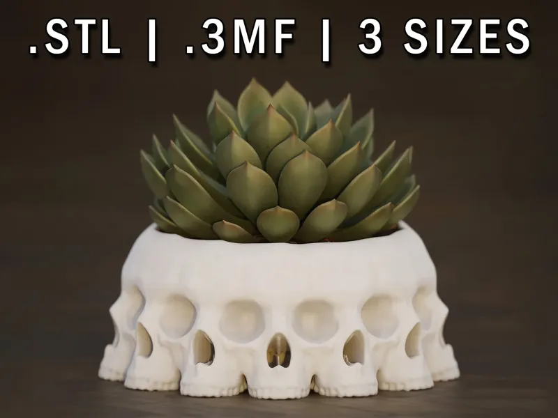 𝙈𝙤𝙧𝙩𝙞𝙨 𝙑𝙪𝙡𝙩𝙪𝙨  - The Face of Death