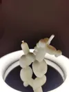 0.2mm layer, 2 walls, 10% infill