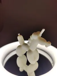 0.2mm layer, 2 walls, 10% infill