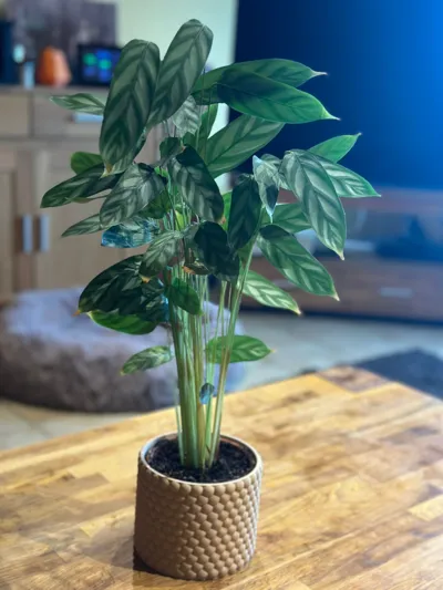 Planter-V2 by Solid - MakerWorld