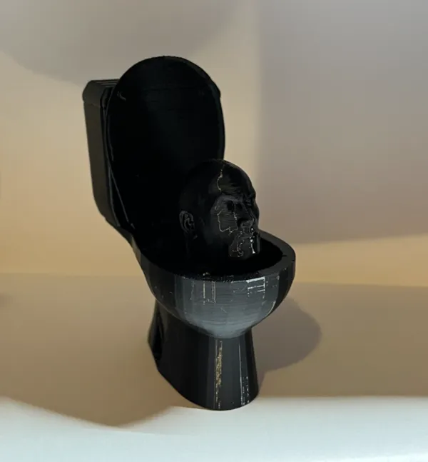 https://makerworld.bblmw.com/makerworld/model/US49105228316912/design/2025-01-01_149c361968252.jpg